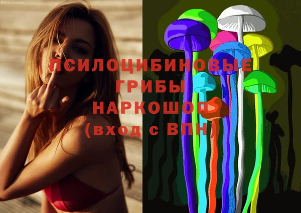 сатива Козловка