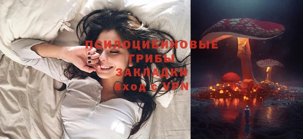 шишки Красноперекопск