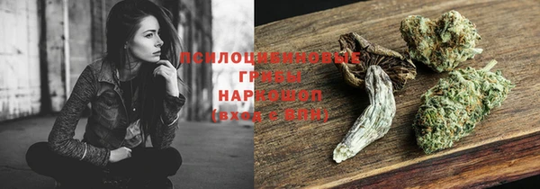 дживик Кодинск