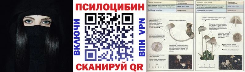 Купить где  Сокол  Галлюциногенные грибы GOLDEN TEACHER 